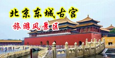 JJ插bb娇喘高潮视频中国北京-东城古宫旅游风景区